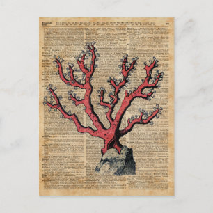 Vintage Illustrationskunst des Roten Korallen Postkarte