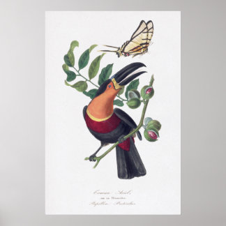 Vintage Illustrationskunst Poster