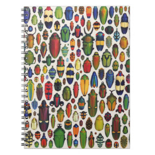 Vintage Illustrierte Käfer Notizblock