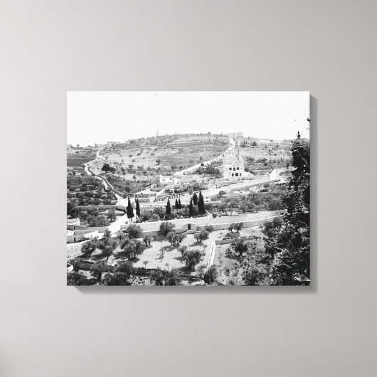 Vintage Image des Berges der Oliven, Jerusalem Leinwanddruck (Vorderseite)