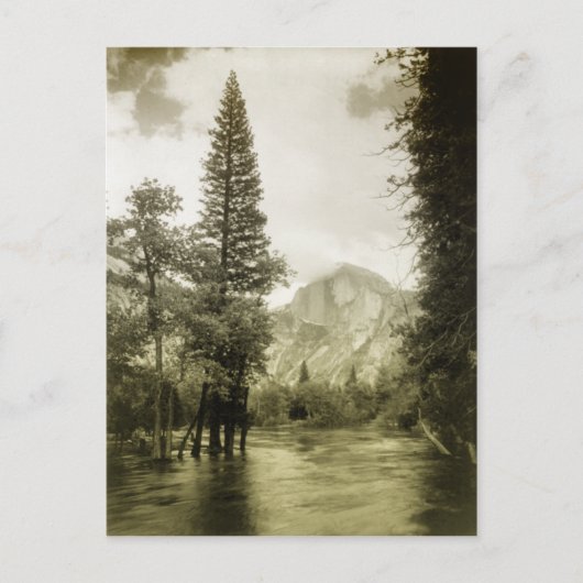Vintage Image des Yosemite Nationalparks Postkarte (Vorderseite)