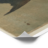 Vintage Image of Japanese Striped Mullet - Leinwan Poster (Ecke)