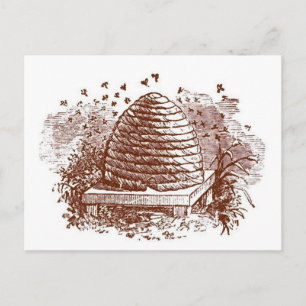 Vintage-Imkerei Bienenstock Postkarte
