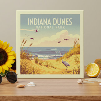 Vintage Indiana Dunes National Park  Fliese
