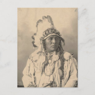 Vintage Indianer : Gefleckter Jack Rabbit, Crow - Postkarte