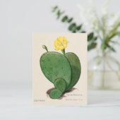 Vintage Indische Fig Opuntia Kaktus Illustration Postkarte (Stehend Vorderseite)