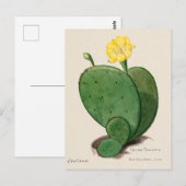 Vintage Indische Fig Opuntia Kaktus Illustration Postkarte (Vorne/Hinten)