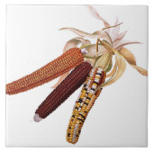 Vintage indischer Mais-Fliese Fliese (Vorderseite)