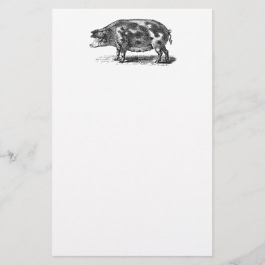 Vintage inländische Schwein-Illustration - Schwein Briefpapier (Vorderseite)