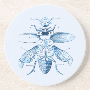 Vintage Insekt Entomologie Käfer Blau Getränkeuntersetzer