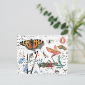 Vintage Insekt Letter and postmark Postkarte (Stehend Vorderseite)