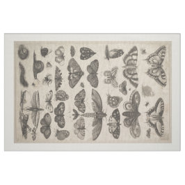 Vintage Insekten-Entomologielepidoptera-Tapisserie Stoff