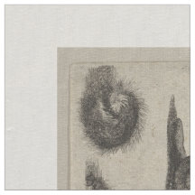 Vintage Insekten-Entomologielepidoptera-Tapisserie