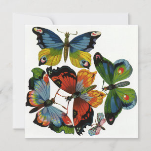 Vintage Insekten oder Bugs, schöne Schmetterlinge