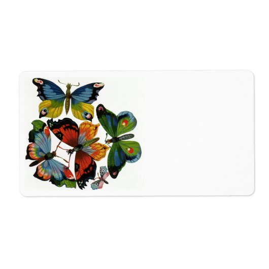 Vintage Insekten oder Bugs, schöne Schmetterlinge (Vorne)