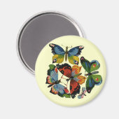 Vintage Insekten oder Bugs, schöne Schmetterlinge Magnet (Vorderseite/Rückseite)