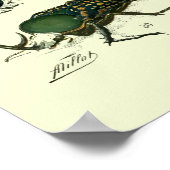 Vintage Insekten Poster (Ecke)