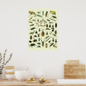 Vintage Insekten Poster (Küche)