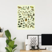Vintage Insekten Poster (Heimbüro)