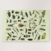 Vintage Insekten Puzzle (Horizontal)