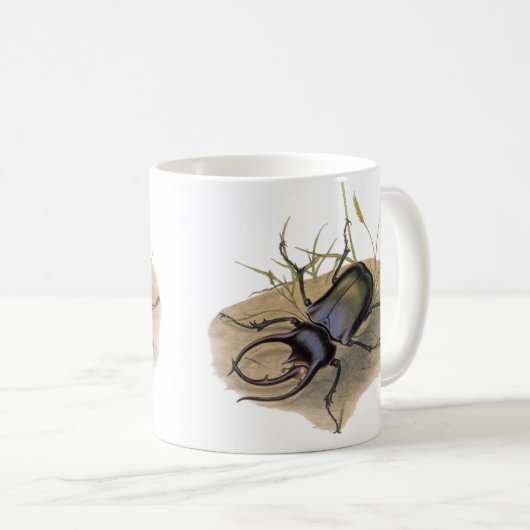 Vintage Insekten und Bugs, Rhinozeroskäfer Kaffeetasse (VorderseiteRechts)