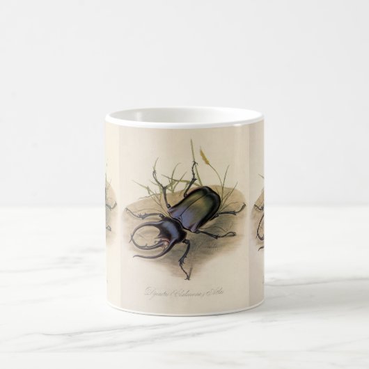 Vintage Insekten und Bugs, Rhinozeroskäfer Kaffeetasse (Mittel)