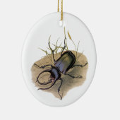 Vintage Insekten und Bugs, Rhinozeroskäfer Keramik Ornament (Rechts)