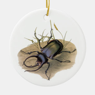 Vintage Insekten und Käfer, Rhino Nashornkäfer Keramik Ornament