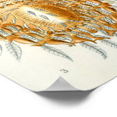 Vintage Insektendarstellung Poster (Ecke)