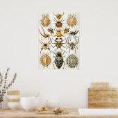 Vintage Insektendarstellung Poster (Küche)