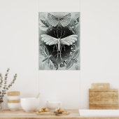 Vintage Insektendarstellung Poster (Küche)