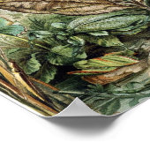 Vintage Insektendarstellung Poster (Ecke)