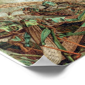 Vintage Insektendarstellung Poster (Ecke)