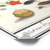 Vintage Insektendarstellung Poster (Ecke)