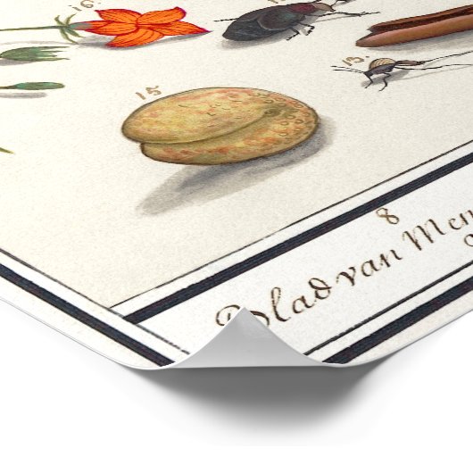 Vintage Insektendarstellung Poster (Ecke)