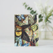 Vintage Insektendarstellung Postkarte (Stehend Vorderseite)