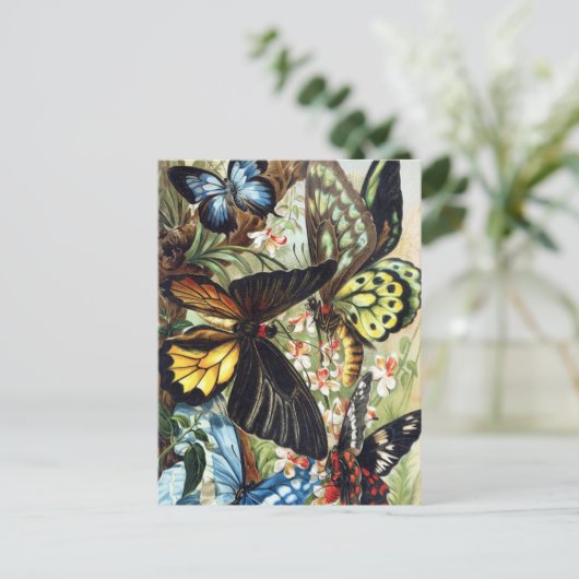 Vintage Insektendarstellung Postkarte (Stehend Vorderseite)