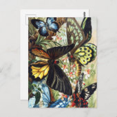 Vintage Insektendarstellung Postkarte (Vorne/Hinten)