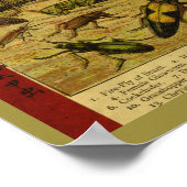 Vintage Insektenkäfer - Naturgeschichte Poster (Ecke)