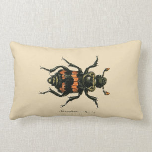 Vintage Insektensexton-Käfer-Entomologie Revers. Lendenkissen