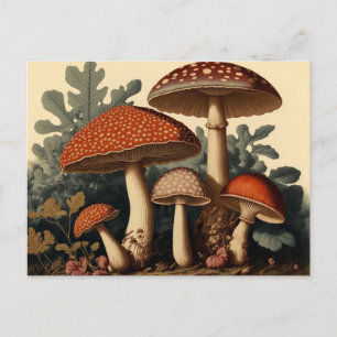 Vintage inspirierte Cottagecore-Pilzkunst Postkarte