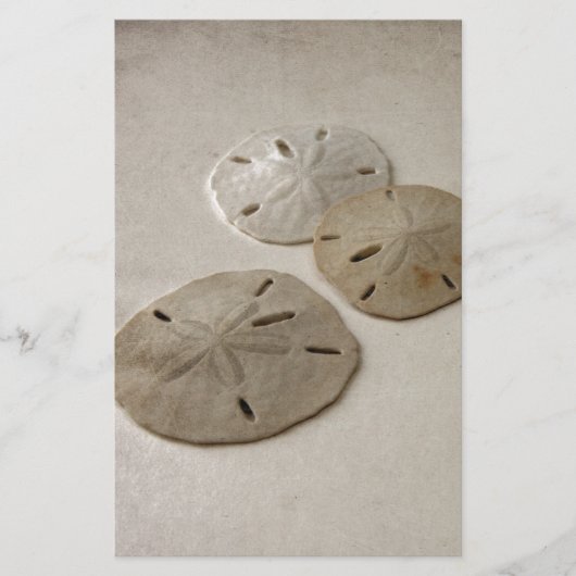 Vintage inspirierte Sand-Dollar Briefpapier (Vorderseite)