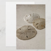 Vintage inspirierte Sand-Dollar Briefpapier (Vorne/Hinten)
