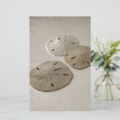 Vintage inspirierte Sand-Dollar Briefpapier (Stehend Vorderseite)