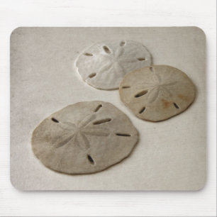 Vintage inspirierte Sanddollars Mousepad