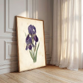 Vintage Iris Boho Leinwanddruck Poster