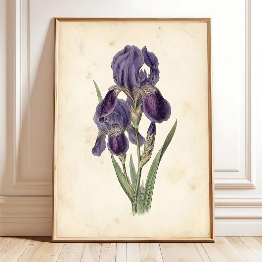 Vintage Iris Boho Leinwanddruck Poster