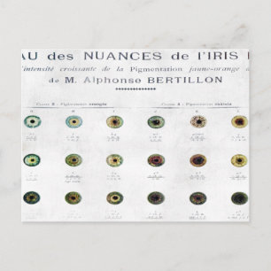 Vintage Iris-Farbkarte Postkarte