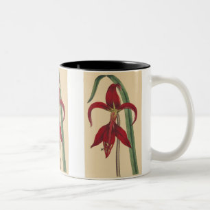 Vintage Iris-Tasse Zweifarbige Tasse