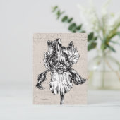 Vintage Iris Zeichnend Postkarte (Stehend Vorderseite)